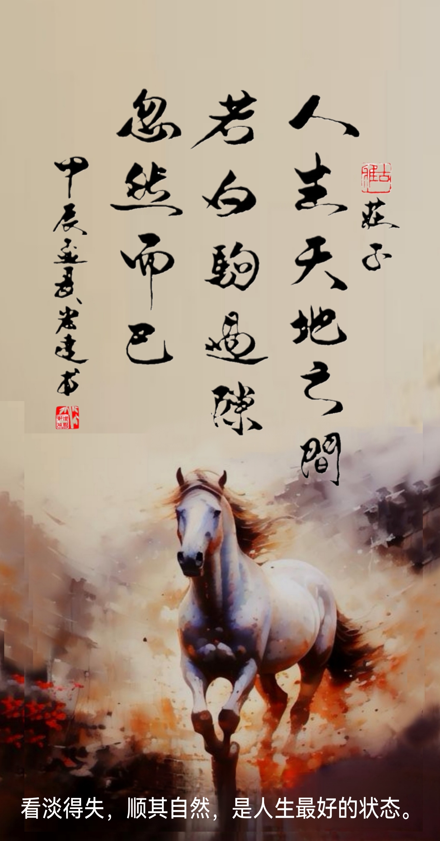 山东鲁能历久弥坚，白驹过隙岁月如梭的简单介绍