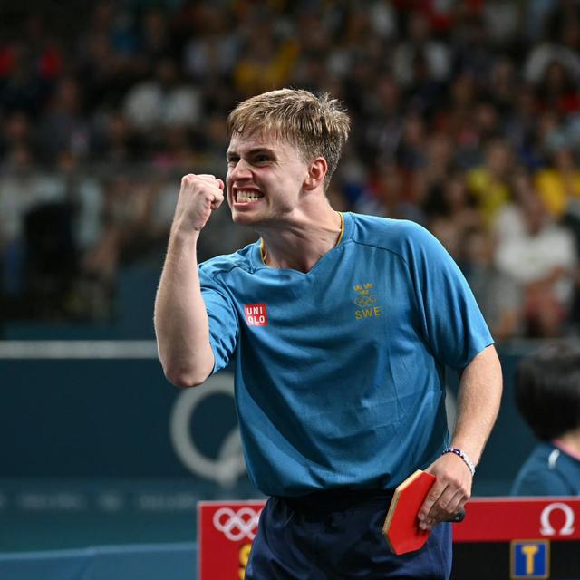 德国队绝杀瑞典队,王皓点燃赛场 德国队绝杀瑞典队,王皓点燃赛场