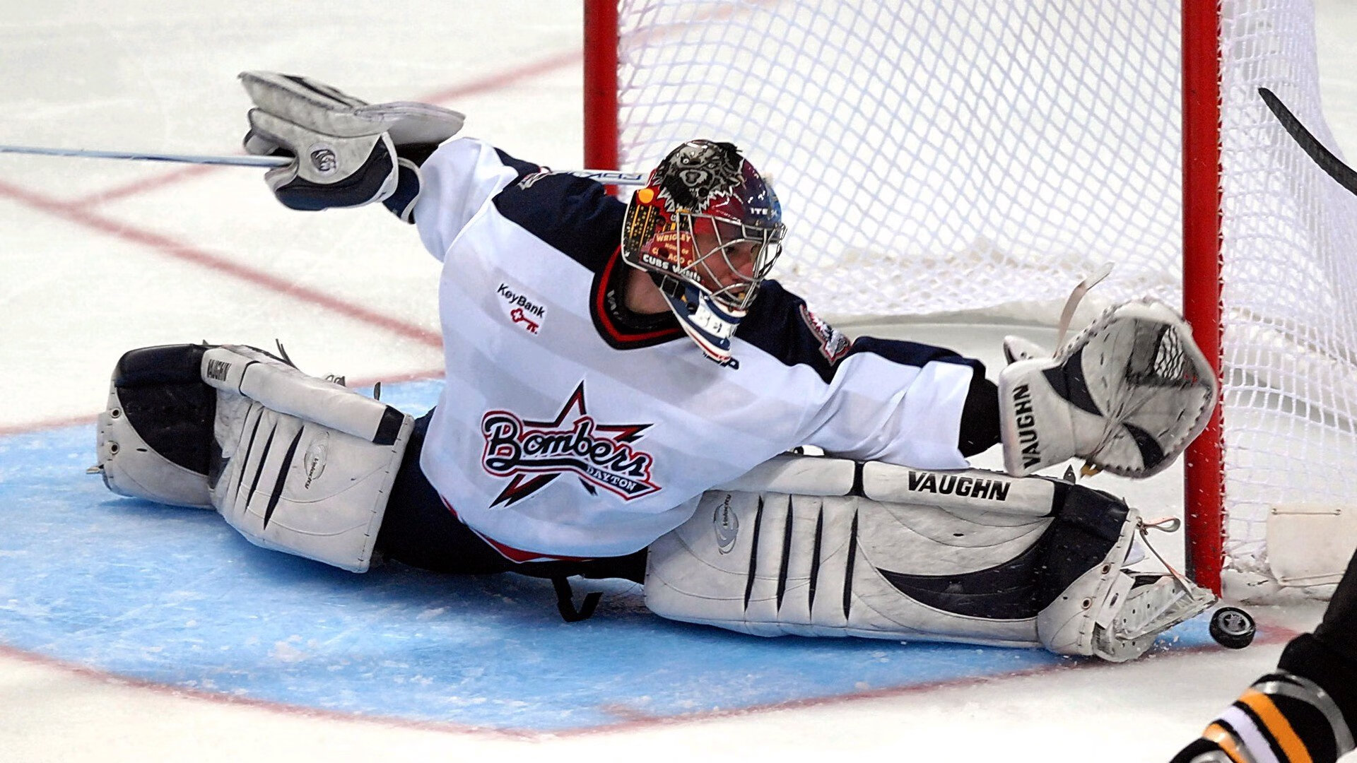 法老之怒，埃及强势拿下韩国，维尼修斯化身现代阿努比斯